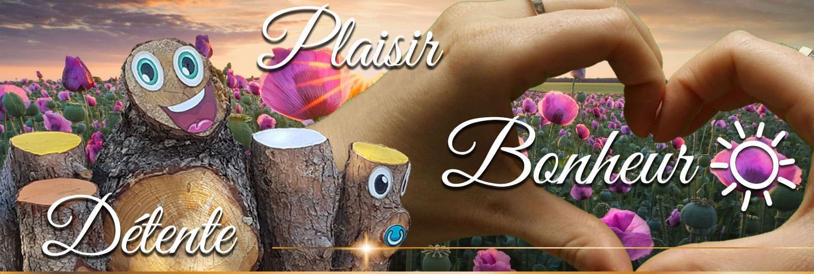 locations vacances en vendée avec services