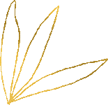 location vacances feuilles