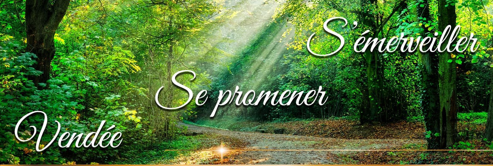 promenade de vacances en Vendée depuis le camping Couleurs Vendée