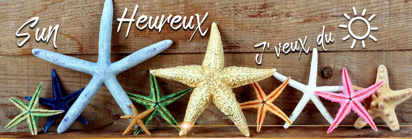 Vacances en Vendée Location Mareuil sur Lay