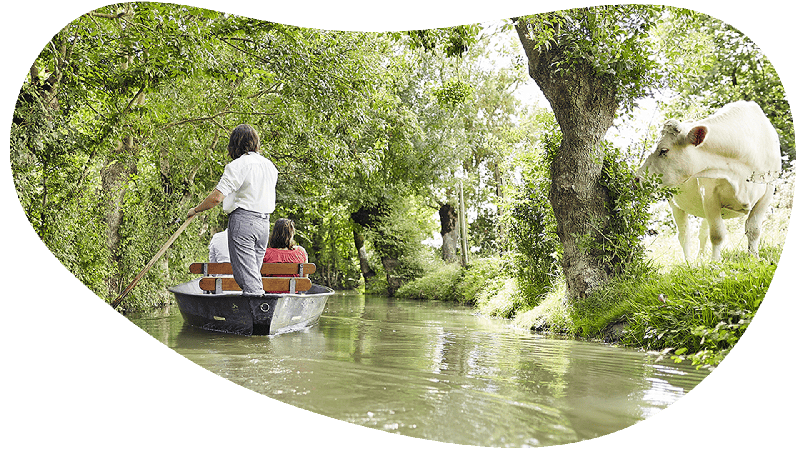 Vacances en Vendée marais poitevin village vacances camping