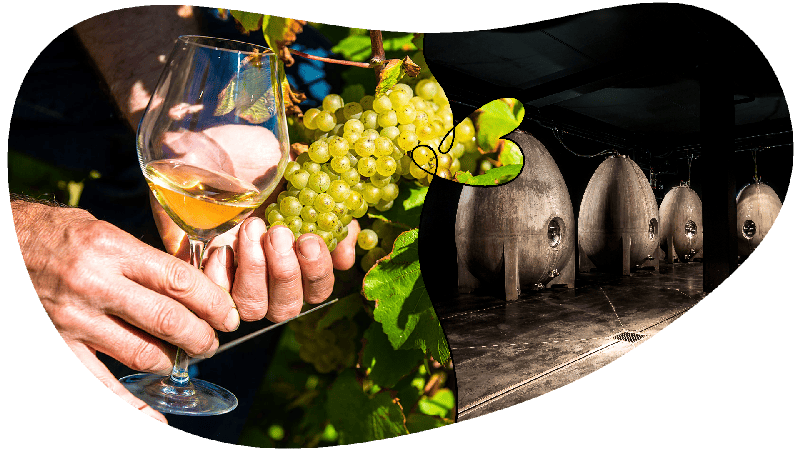 Vacances camping Mareuil Couleurs Vendée tourisme vin