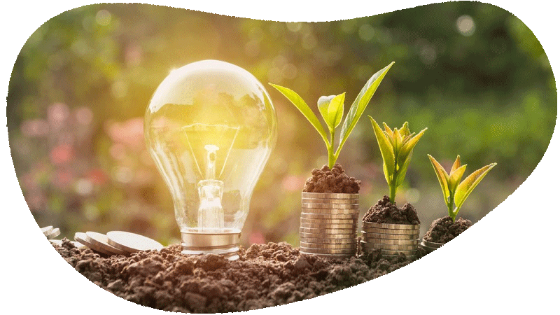 Vacances verte en Vendée Camping Couleurs Vendée